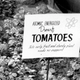 Illustration for article titled Atomic gardening: Day of the irradiated peanut